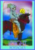 Tarot Card